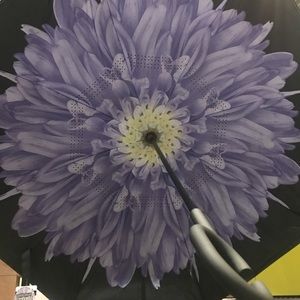 Reversible Umbrella